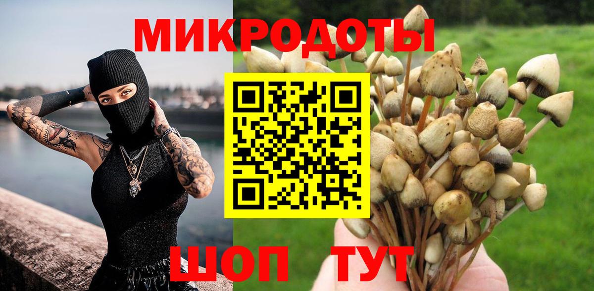 Кириши  Псилоцибиновые грибы мицелий  Вход с VPN  Псилоцибиновые грибы Cubensis 